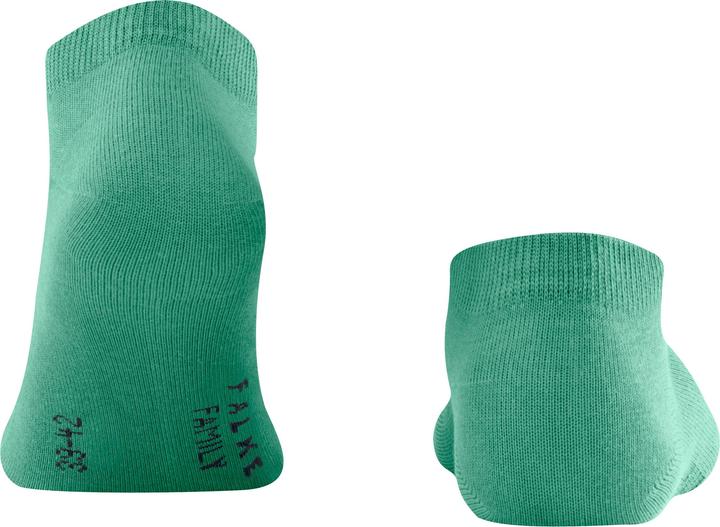 Image du produit Falke Hommes de famille (39 - 42)