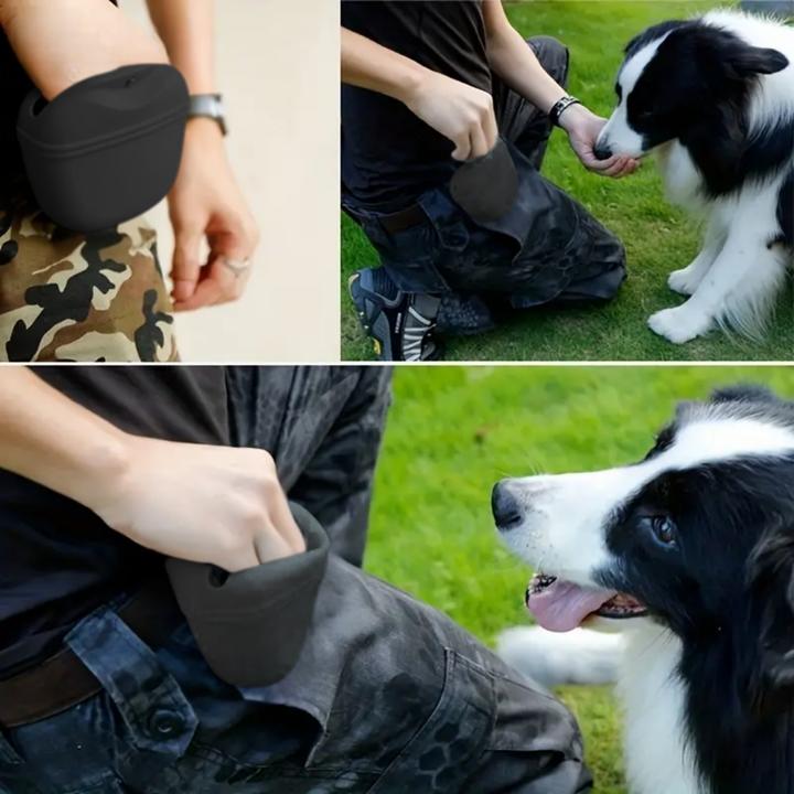 Actual product image Suba Silicone Dog Food Bag
