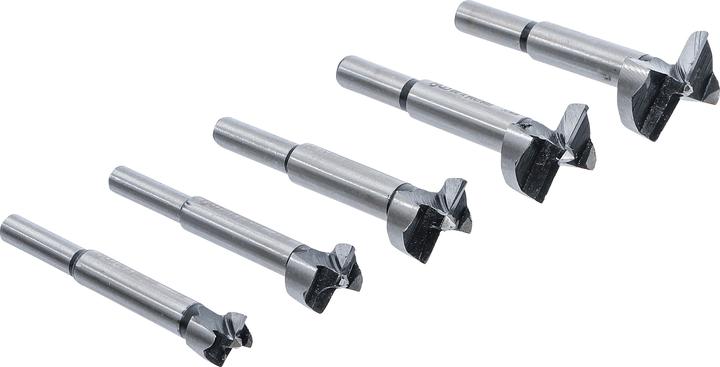 BGS Forstnerbohrer-Satz (25 mm, 20 mm, 30 mm, 15 mm, 35 mm)