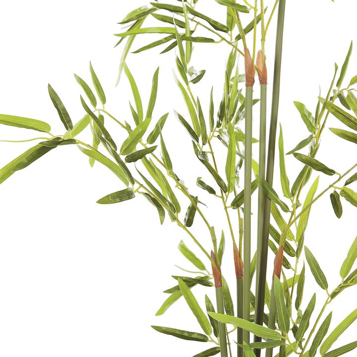 Immagine prodotto Beliani Bambusa Vulgaris (100 cm)