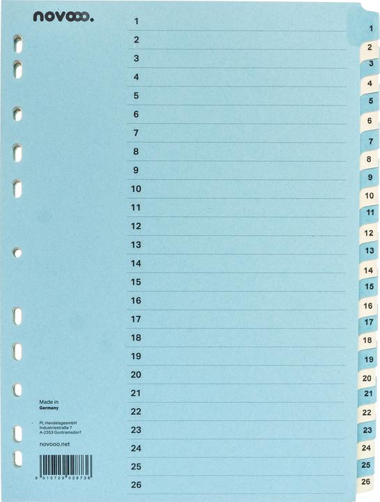 Actual product image Novooo Cardboard index blue/beige A4