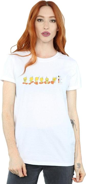 Produktbild Looney Tunes Tweety Pie Colour Code TShirt (XXL)