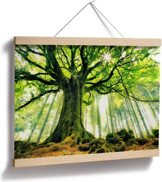 Produktbild Trenddeko Kiciak - Märchenwald (120 x 100 cm)