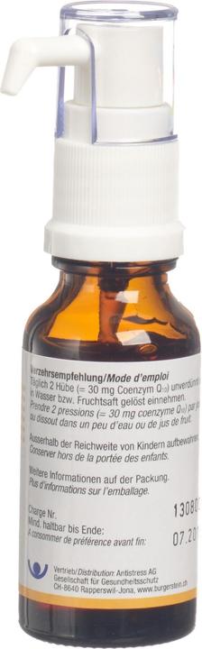 Produktbild Burgerstein Coenzym Q10 Liquid (1 Stück, Flüssigkeit, 76 g)