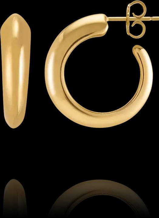 Actual product image Charles Garnier Golden silver earrings