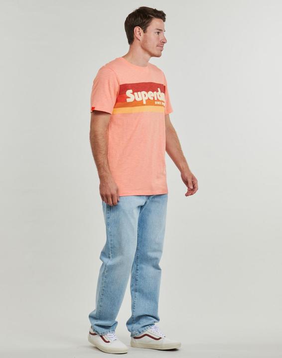 Actual product image Superdry Terrain Logo Stripe Relxed Tee (S)