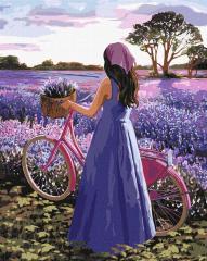 Produktbild Ideyka Malen nach Zahlen - Lavendel-Inspiration