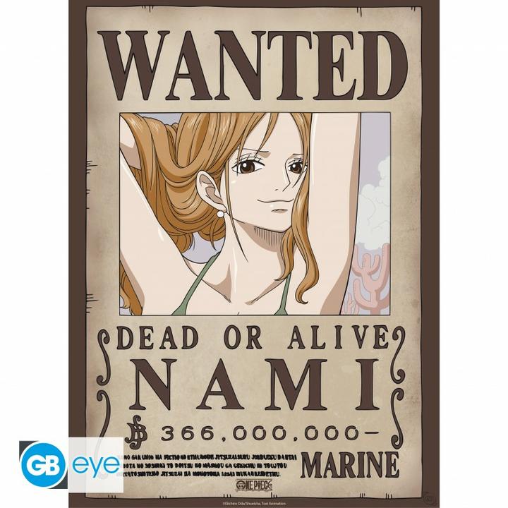 Actual product image GB Eye One Piece - Nami & Robin