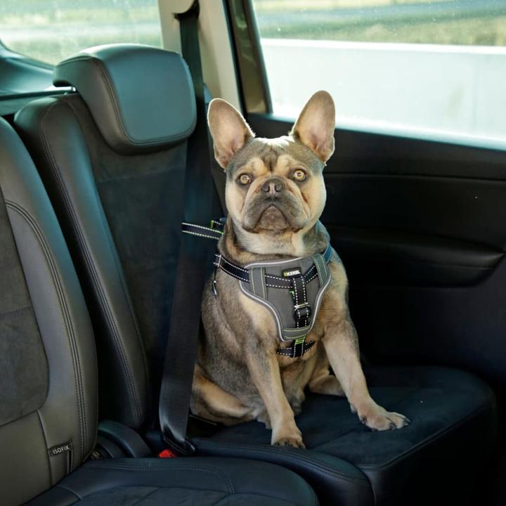 Produktbild Kerbl Autosicherheitsgeschirr (Hund, Sicherheitsverschluss)