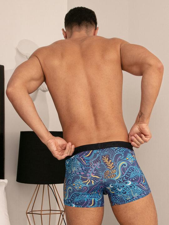 Image du produit HOM BoxerBriefs Cyril Microfibre (L, Une unité par pack)