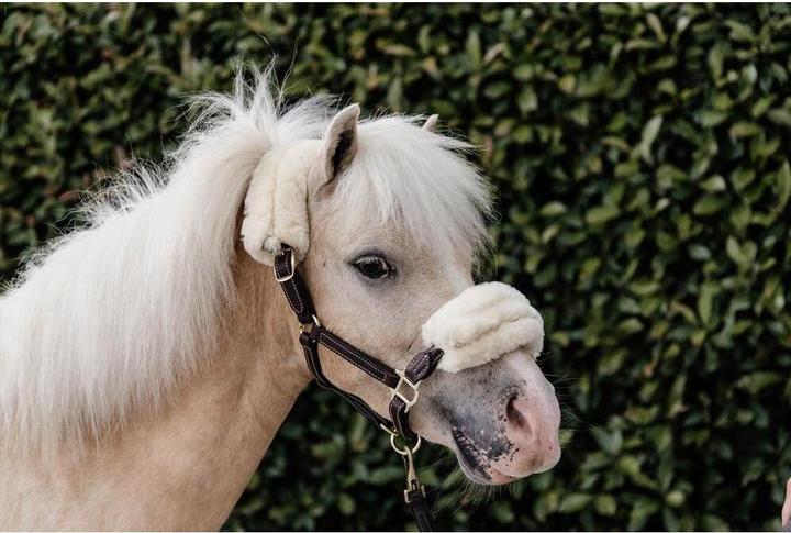 Produktbild Kentucky Horsewear Pony Lederhalfter
