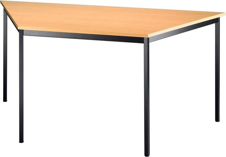 Actual product image Hammerbacher Series V (160 x 69 cm)