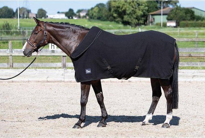 Actual product image Harry's Horse Drying Fleece Horse Blanket with rollable collar (195 cm)