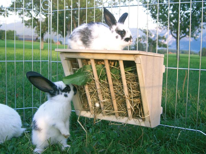 Actual product image Kerbl Hay rack