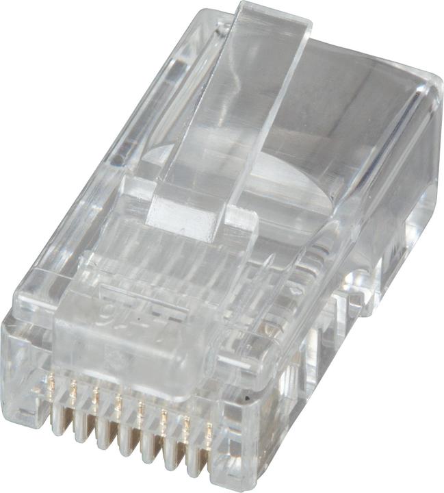 Immagine prodotto EFB Elektronik Produttore: Spina RJ45 UTP, Cat.6, 100 pezzi fino a 250 MHz (Cat.6) per fili