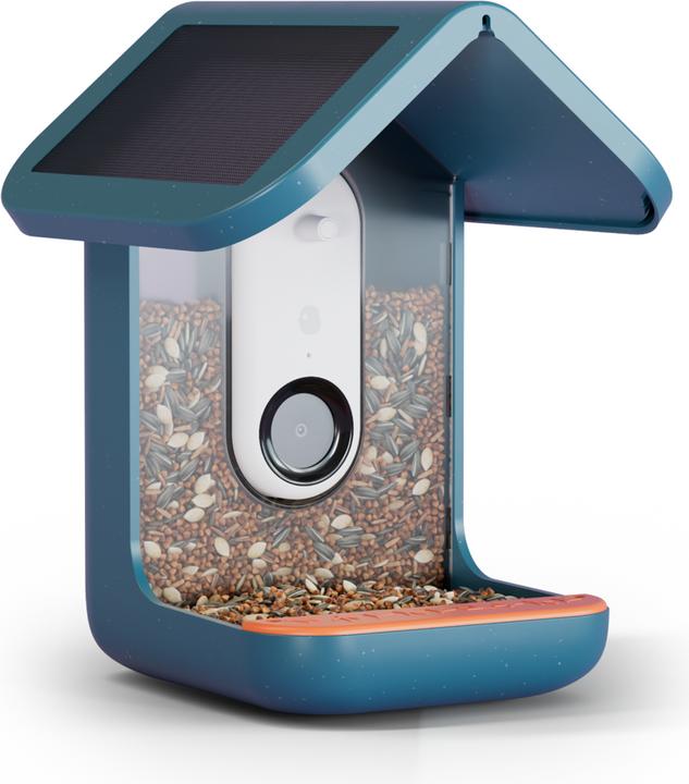 Actual product image Bird Buddy Smart Bird Feeder 2.0