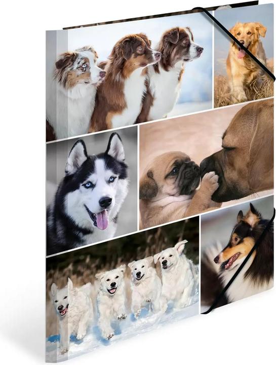 Actual product image HERMA A4 motif folder (A4, 1 x)