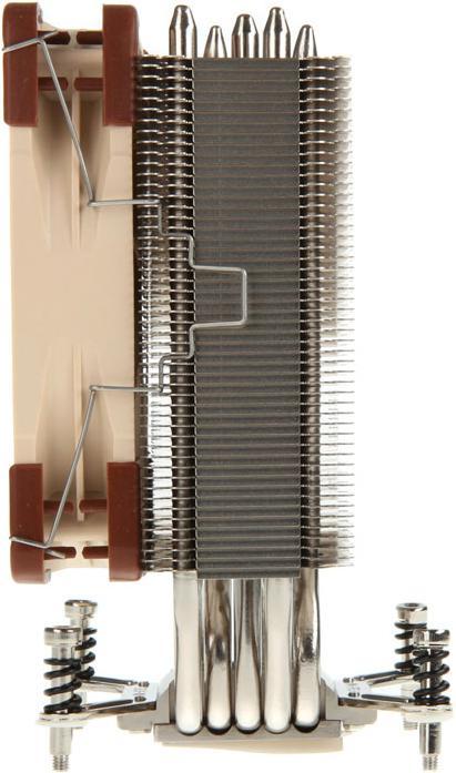 Actual product image Noctua NH-U12DX i4 (158 mm)