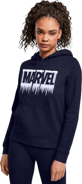 Produktbild Icicle Logo Kapuzenpullover (S)
