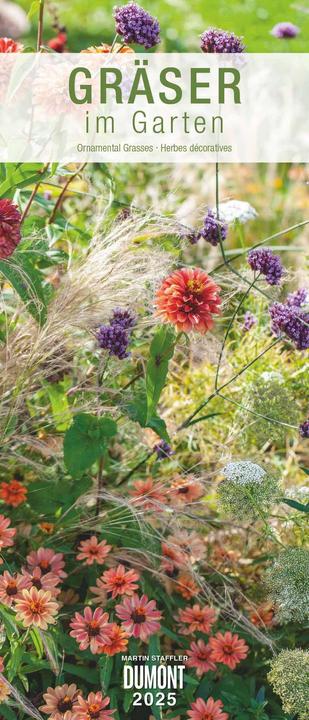 Produktbild Gräser im Garten 2025 – Wandkalender – Garten-Kalender – Hochformat 30 x 70 cm (30 x 70 cm, Harter Einband, Deutsch)