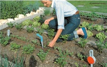 Produktbild Gardena Pflanzer 3487