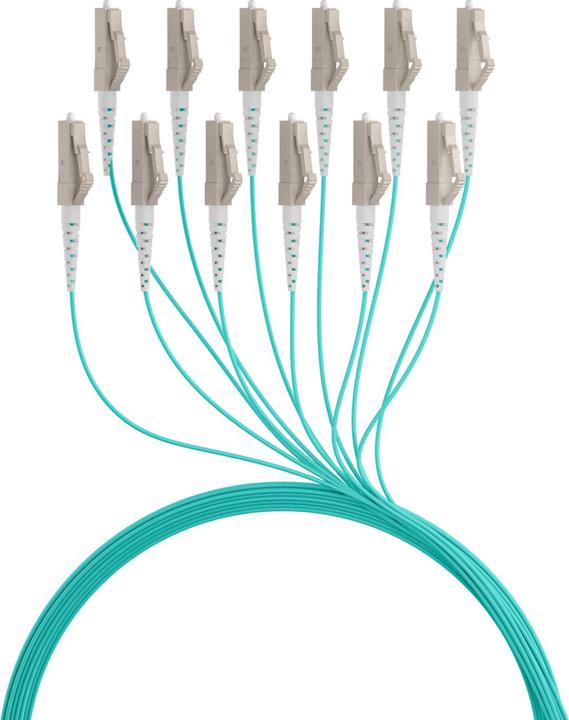 Actual product image EFB Elektronik Trunk cable U-DQ ZN BH OM3 12G 1x12 LC-LC 180m Dca LSZH (180 m)