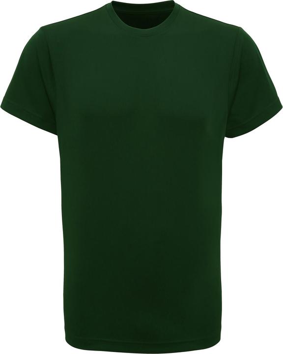 verde bottiglia