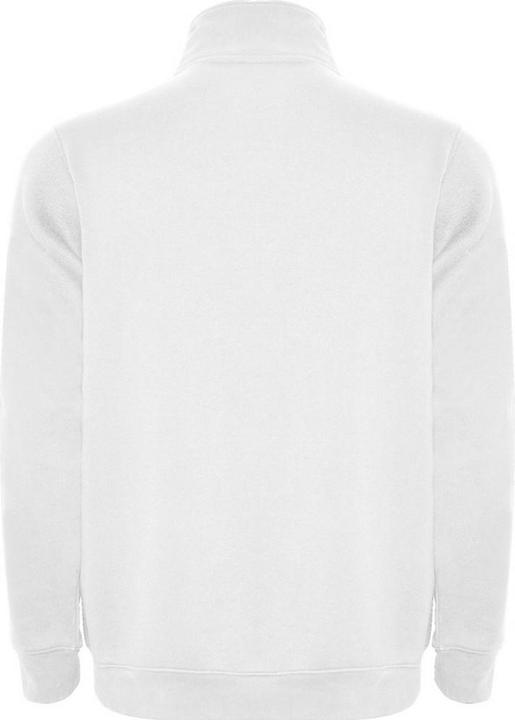 Actual product image Alpinia Mens Aneto Quarter Zip Sweatshirt (M)