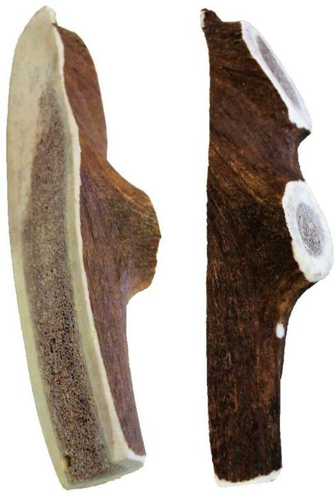 Actual product image Kyli Deer antlers red deer (Adult, 1 pcs., 250 g)