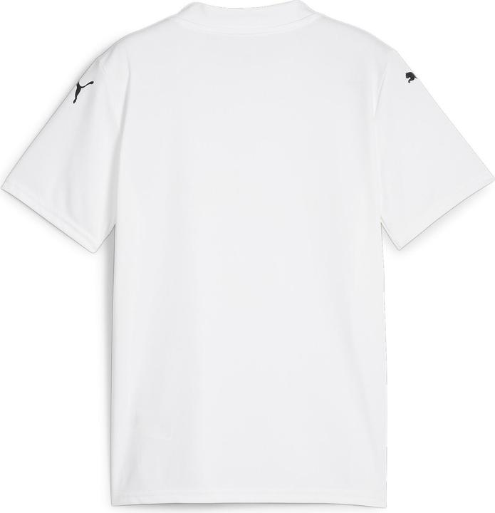 Actual product image Puma teamGLORY Jersey Jr (116)