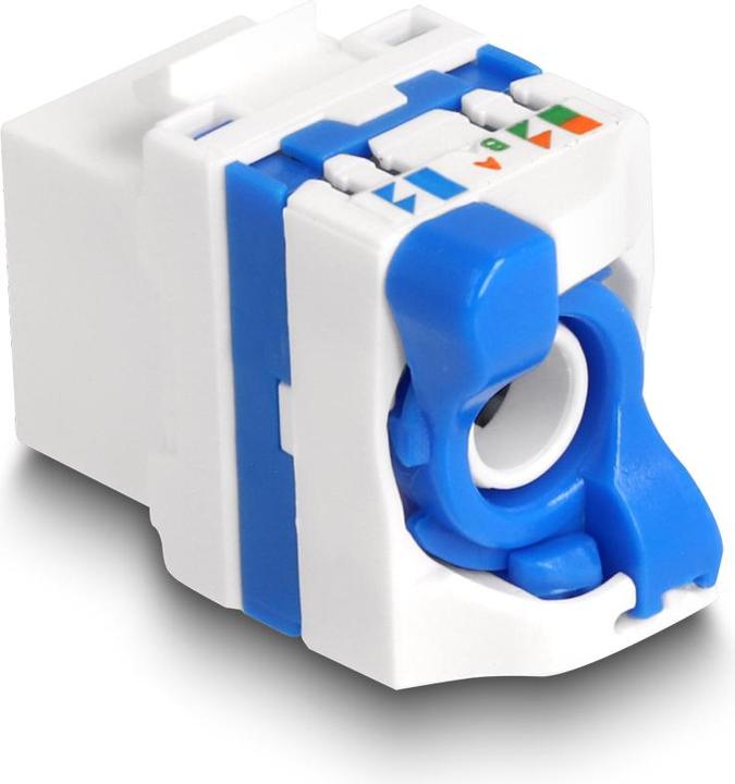 Delock Module Keystone RJ45 femelle vers LSA Cat.6A sans outils (Module Keystone)