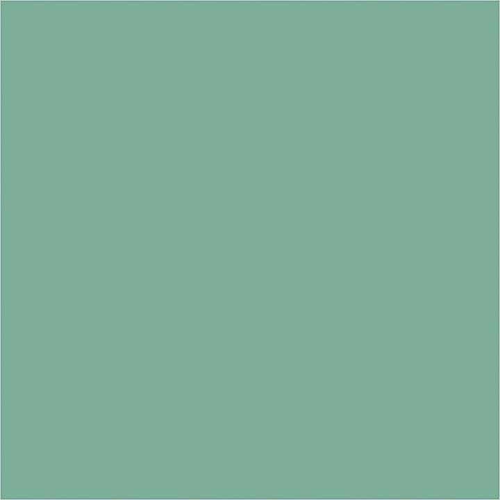 Immagine prodotto Creativ Company Tintura tessile (Verde mare, 500 ml)
