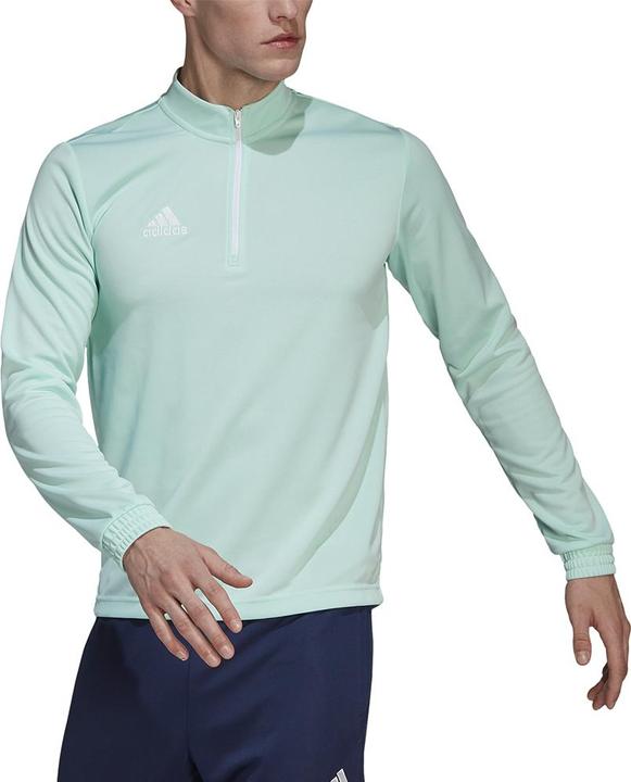 Actual product image adidas Entrada 22 training jumper men (L)