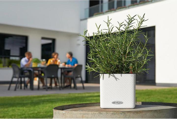 Immagine prodotto Lechuza cubo (14 cm)