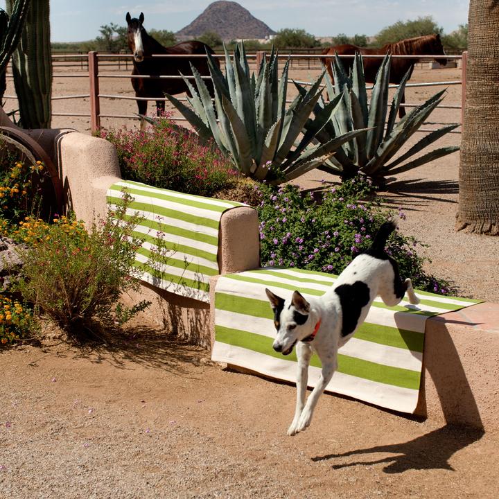 Produktbild Dash & Albert Catamaran Outdoorteppich (61 x 91 cm)