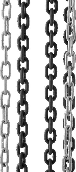 Actual product image Steinberg Chain Hoist - 1 000 kg - 6 m