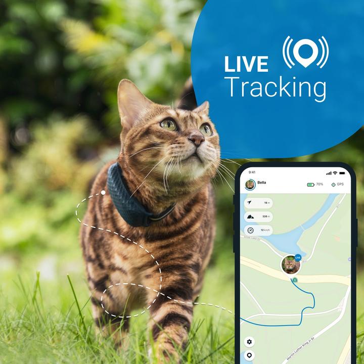 Produktbild Tractive GPS 4 GPS Tracker für Katzen (Katze)