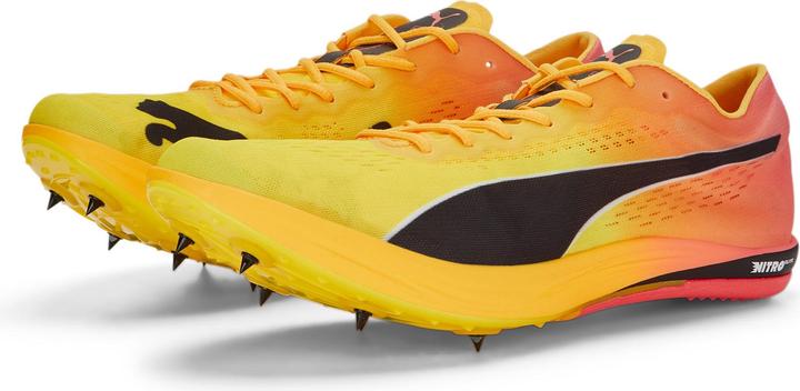 Puma evoSPEED Long Distance Nitro Elite+