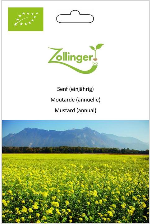 Actual product image Zollinger Bio Mustard (annual) (Seedlings)