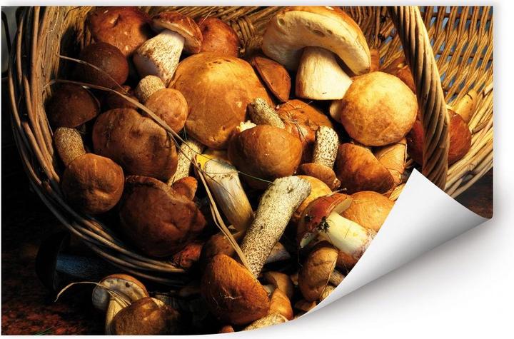 Immagine prodotto Trenddeko Cestino dei funghi (60 x 40 cm)