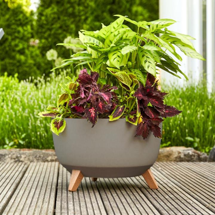 Produktbild Siena Garden Oslo (40 cm)