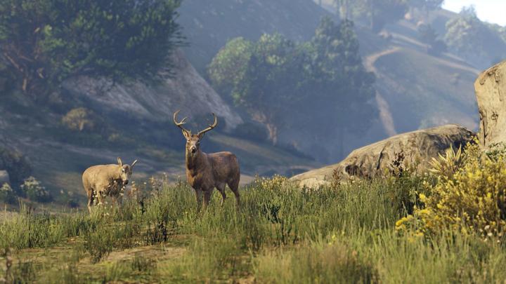 Image du produit Rockstar GTA V (5) Premiun Edition (Xbox One S)