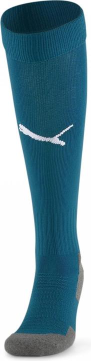 Actual product image Puma Team LIGA Socks CORE-703441 (47 - 49)