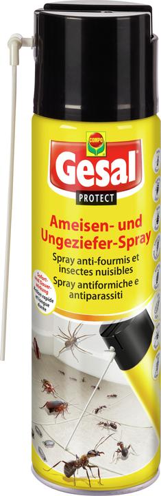 Actual product image Gesal PROTECT Ant and Vermin Spray (500 ml)