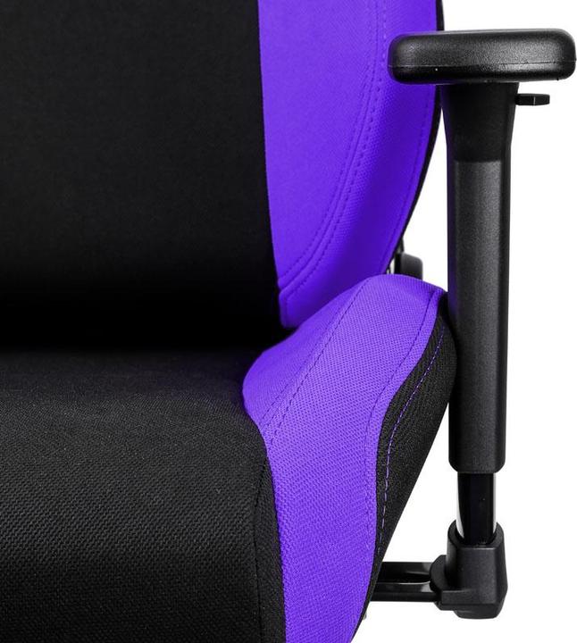 Produktbild Nitro Concepts S300
