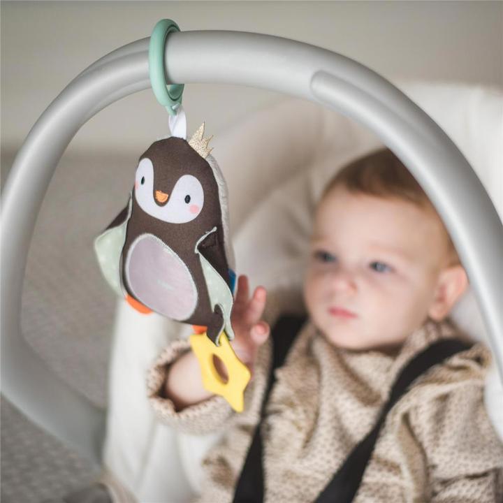 Actual product image Taf Toys Prince