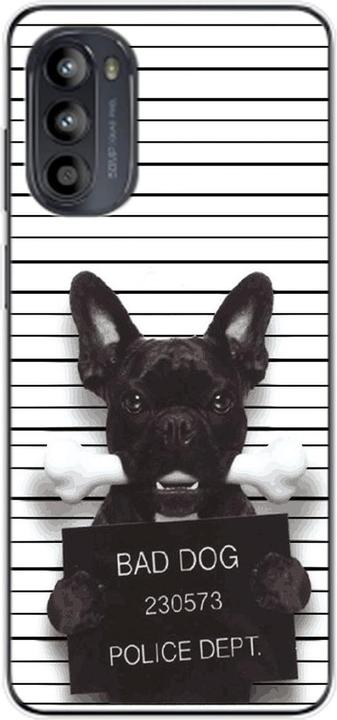 Bad Dog Bulldog