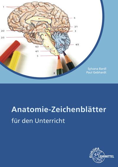 Actual product image Anatomy drawing sheets workbook (German, Paul, Sylvana Gebhardt, 2016)