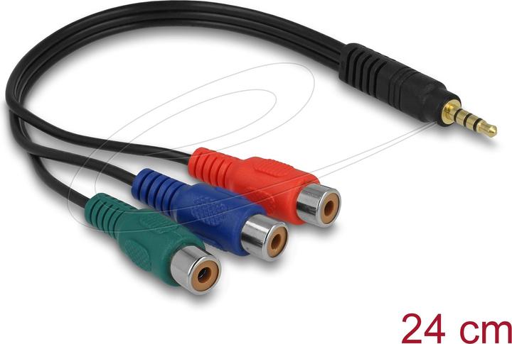 Actual product image Delock Composite Video — 3.5mm Klinke (0.24 m)