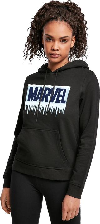 Produktbild Icicle Logo Kapuzenpullover (3XL)